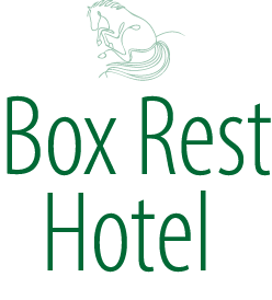 BOX REST HOTEL【公式】｜北海道浦河のスマートホテル – 旅と仕事のちょうどいい拠点